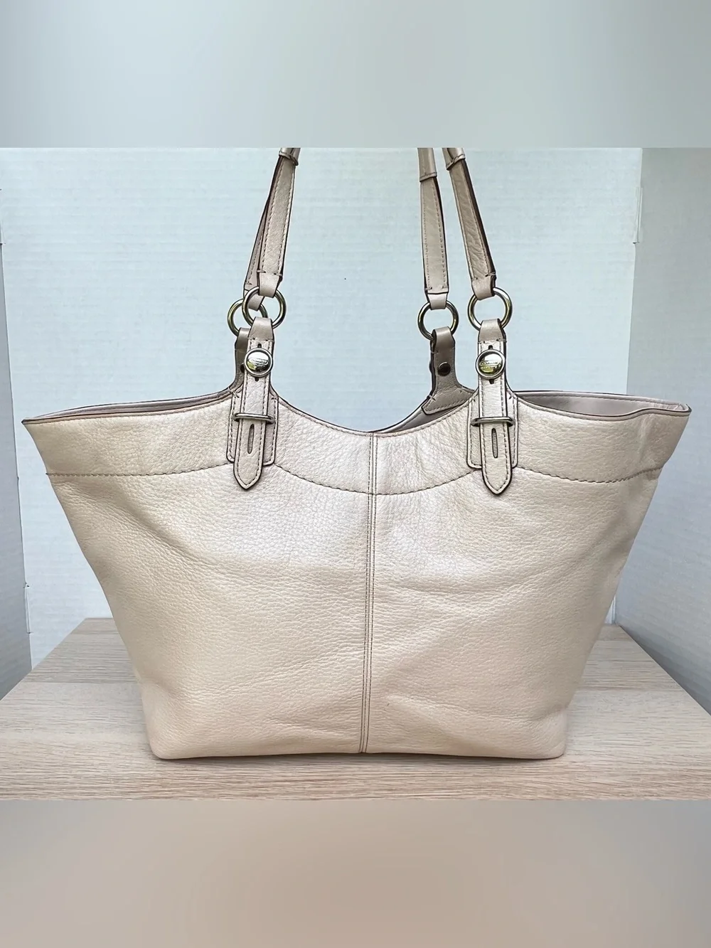 Coach Carly Tote F16174 Pearlized Champagne Shell Leather Shoulder Bag Large